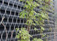 X تيند الفولاذ المقاوم للصدأ الكابل المعاوضة شبكة سلك التعريشة لتسلق النباتات المزود